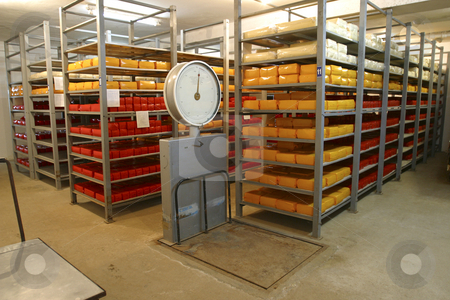 To use this stock image in your creative project, please select the size you need over to the right and click the "Add to Cart" button.
Your downloaded image will come with the Cutcaster watermark removed so don’t worry about the watermark you see on this page. Cheese storage in dairy stock photo, Cheese in cold storage in modern dairy by Mark Yuill