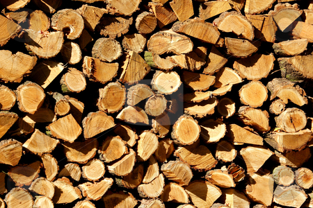 To use this stock image in your creative project, please select the size you need over to the right and click the "Add to Cart" button.
Your downloaded image will come with the Cutcaster watermark removed so don’t worry about the watermark you see on this page. Log pile stock photo, Stacked winter logs for heating by Mark Yuill