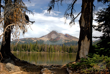 To use this stock image in your creative project, please select the size you need over to the right and click the "Add to Cart" button.
Your downloaded image will come with the Cutcaster watermark removed so don’t worry about the watermark you see on this page. Mountain stock photo, Mountain landscape framed between two trees by Harold Johnson