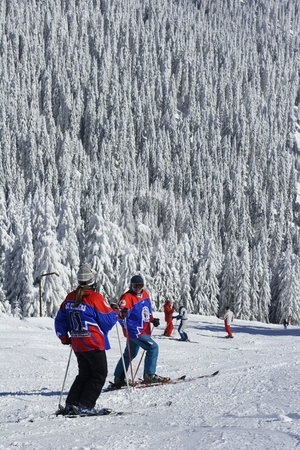 To use this stock image in your creative project, please select the size you need over to the right and click the "Add to Cart" button.
Your downloaded image will come with the Cutcaster watermark removed so don’t worry about the watermark you see on this page. Sikers on slope stock photo, Skiers on piste by Mark Yuill
