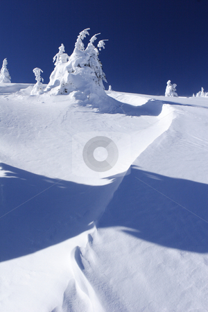 To use this stock image in your creative project, please select the size you need over to the right and click the "Add to Cart" button.
Your downloaded image will come with the Cutcaster watermark removed so don’t worry about the watermark you see on this page. Snow covered mountain and trees stock photo, Winter view of snow covered mountain and trees by Mark Yuill