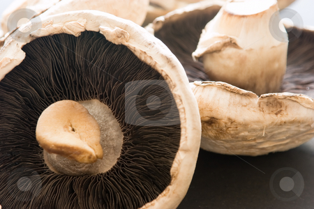 To use this stock image in your creative project, please select the size you need over to the right and click the "Add to Cart" button.
Your downloaded image will come with the Cutcaster watermark removed so don’t worry about the watermark you see on this page. Mushrooms stock photo, A bunch of mushrooms by Nicholas Rjabow