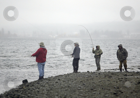 To use this stock image in your creative project, please select the size you need over to the right and click the "Add to Cart" button.
Your downloaded image will come with the Cutcaster watermark removed so don’t worry about the watermark you see on this page. Chum Salmon Fishing stock photo, November 15, 2004: Local fisherman lines the beaches along the mouth of the Chico Creek stream in hopes of landing a Chum Salmon during the annual winter Salmon run in Chico, Washington. by Jesse Beals