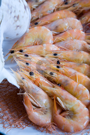 To use this stock image in your creative project, please select the size you need over to the right and click the "Add to Cart" button.
Your downloaded image will come with the Cutcaster watermark removed so don’t worry about the watermark you see on this page. Shrimp and shell stock photo, Shrimps and one shell by Paulo Resende