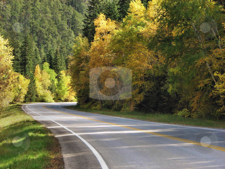 To use this stock image in your creative project, please select the size you need over to the right and click the "Add to Cart" button.
Your downloaded image will come with the Cutcaster watermark removed so don’t worry about the watermark you see on this page. Highway Of Gold - Spearfish Canyon stock photo, Taken In Spearfish Canyon In South Dakota by Brian Meyer