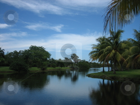 To use this stock image in your creative project, please select the size you need over to the right and click the "Add to Cart" button.
Your downloaded image will come with the Cutcaster watermark removed so don’t worry about the watermark you see on this page. Florida scene stock photo, Florida landscape by Tom Falco