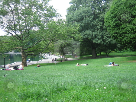 To use this stock image in your creative project, please select the size you need over to the right and click the "Add to Cart" button.
Your downloaded image will come with the Cutcaster watermark removed so don’t worry about the watermark you see on this page. The big lawn stock photo, Sunning on the lawn by Tom Falco