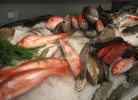 To use this stock image in your creative project, please select the size you need over to the right and click the "Add to Cart" button.
Your downloaded image will come with the Cutcaster watermark removed so don’t worry about the watermark you see on this page. Fish for sale at Hamptons Market stock photo, Fresh fish for sale at Hamptons Market by Tom Falco