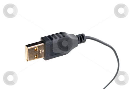 To use this stock image in your creative project, please select the size you need over to the right and click the "Add to Cart" button.
Your downloaded image will come with the Cutcaster watermark removed so don’t worry about the watermark you see on this page. USB Cable stock photo, USB computer cable on white by Vince Clements