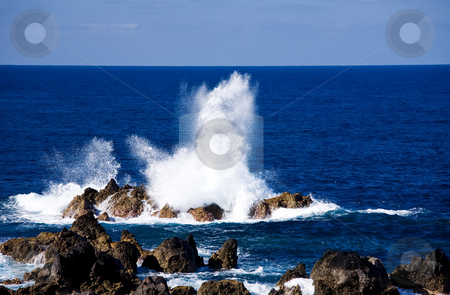 To use this stock image in your creative project, please select the size you need over to the right and click the "Add to Cart" button.
Your downloaded image will come with the Cutcaster watermark removed so don’t worry about the watermark you see on this page. Madeira coast stock photo, View of Madeira coast by Vitaly Sokolovskiy