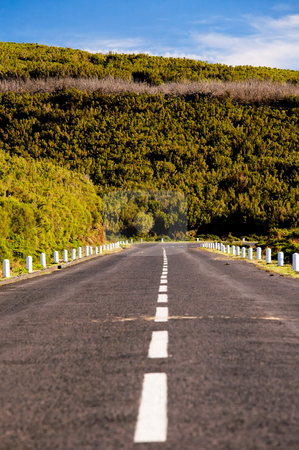 To use this stock image in your creative project, please select the size you need over to the right and click the "Add to Cart" button.
Your downloaded image will come with the Cutcaster watermark removed so don’t worry about the watermark you see on this page. Mountain road in Madeira stock photo, Mountain road in Madeira Island by Vitaly Sokolovskiy