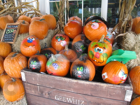 To use this stock image in your creative project, please select the size you need over to the right and click the "Add to Cart" button.
Your downloaded image will come with the Cutcaster watermark removed so don’t worry about the watermark you see on this page. Pumpkins for sale at market stock photo, Pumpkins for sale at market, Miami, Florida by Tom Falco