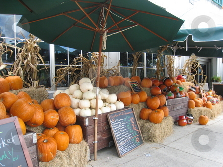 To use this stock image in your creative project, please select the size you need over to the right and click the "Add to Cart" button.
Your downloaded image will come with the Cutcaster watermark removed so don’t worry about the watermark you see on this page. Pumpkins sale at market stock photo, Pumpkins for sale at market, Miami, Florida by Tom Falco