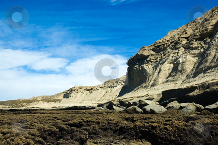 To use this stock image in your creative project, please select the size you need over to the right and click the "Add to Cart" button.
Your downloaded image will come with the Cutcaster watermark removed so don’t worry about the watermark you see on this page. Cliff at the edge of the sea, Patagonia Argentina. stock photo, Cliff at the edge of the sea, Puerto Piramides, Peninsula Valdes, Patagonia Argentina. by Pablo Caridad