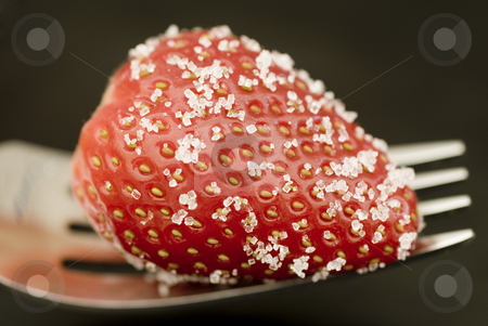 To use this stock image in your creative project, please select the size you need over to the right and click the "Add to Cart" button.
Your downloaded image will come with the Cutcaster watermark removed so don’t worry about the watermark you see on this page. Strawberry and fork stock photo, A ripe red strawberry, sprinkled with sugar, ready to eat by Stephen Gibson