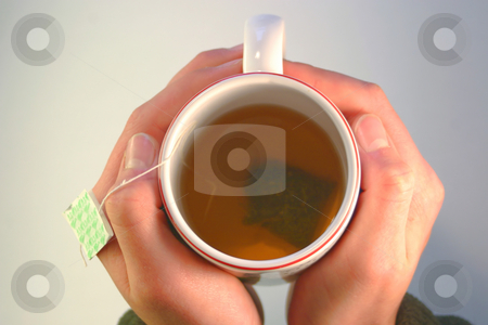 To use this stock image in your creative project, please select the size you need over to the right and click the "Add to Cart" button.
Your downloaded image will come with the Cutcaster watermark removed so don’t worry about the watermark you see on this page. Tea Cup stock photo, A tea cup from above containing Green Tea. by Great Divide Photography