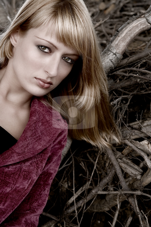 To use this stock image in your creative project, please select the size you need over to the right and click the "Add to Cart" button.
Your downloaded image will come with the Cutcaster watermark removed so don’t worry about the watermark you see on this page. Beauty portrait outside stock photo, Fashion shoot by Frenk and Danielle Kaufmann