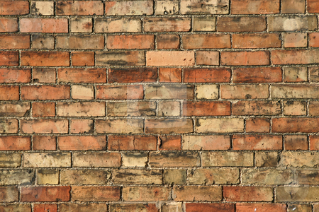 To use this stock image in your creative project, please select the size you need over to the right and click the "Add to Cart" button.
Your downloaded image will come with the Cutcaster watermark removed so don’t worry about the watermark you see on this page. Wall Texture stock photo, A full frame of bricks forming a wall by Steve Smith