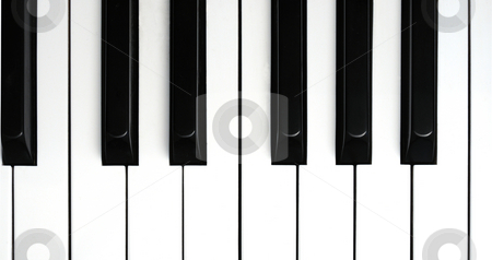 To use this stock image in your creative project, please select the size you need over to the right and click the "Add to Cart" button.
Your downloaded image will come with the Cutcaster watermark removed so don’t worry about the watermark you see on this page. Piano Keys stock photo, Isolation of Piano Keys by Will Burwell