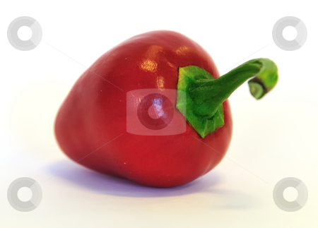 To use this stock image in your creative project, please select the size you need over to the right and click the "Add to Cart" button.
Your downloaded image will come with the Cutcaster watermark removed so don’t worry about the watermark you see on this page. Cherry chili against white stock photo, Red cherry chili pepper against white by Per W?
