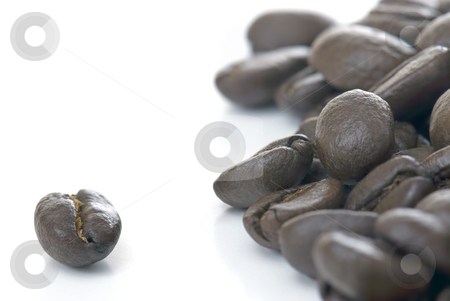 To use this stock image in your creative project, please select the size you need over to the right and click the "Add to Cart" button.
Your downloaded image will come with the Cutcaster watermark removed so don’t worry about the watermark you see on this page. Coffee Beans stock photo, Coffee Beans on a White Isolated Background by Brian Shephard