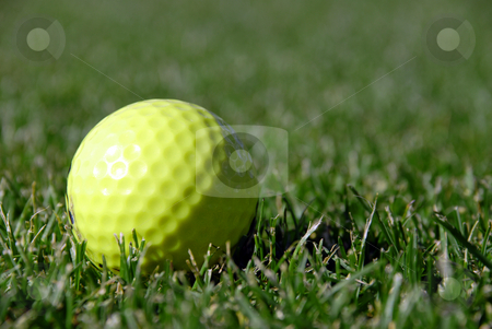 To use this stock image in your creative project, please select the size you need over to the right and click the "Add to Cart" button.
Your downloaded image will come with the Cutcaster watermark removed so don’t worry about the watermark you see on this page. Golf ball stock photo, by Brian Shephard