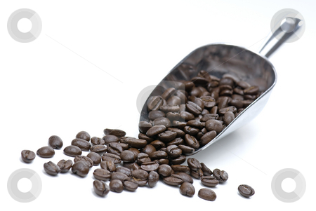 To use this stock image in your creative project, please select the size you need over to the right and click the "Add to Cart" button.
Your downloaded image will come with the Cutcaster watermark removed so don’t worry about the watermark you see on this page. Coffee Beans stock photo, Coffee Beans and Large Scoop Isolated on a White Background by Brian Shephard