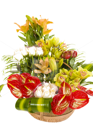 To use this stock image in your creative project, please select the size you need over to the right and click the "Add to Cart" button.
Your downloaded image will come with the Cutcaster watermark removed so don’t worry about the watermark you see on this page. Beautiful flower arrangement stock photo, A beautiful flower arrangement consisting of various types of colorful flowers and other pieces of decoration, isolated on white. by Nicolaas Traut