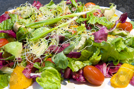 To use this stock image in your creative project, please select the size you need over to the right and click the "Add to Cart" button.
Your downloaded image will come with the Cutcaster watermark removed so don’t worry about the watermark you see on this page. Freshly prepared salads stock photo, Delicious freshly prepared salads in a serving bowl. by Nicolaas Traut