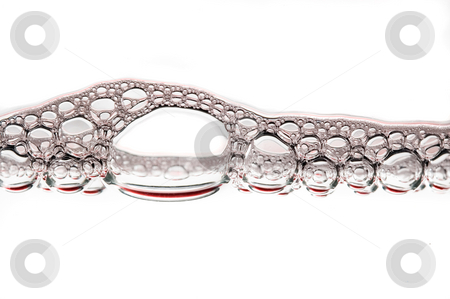 To use this stock image in your creative project, please select the size you need over to the right and click the "Add to Cart" button.
Your downloaded image will come with the Cutcaster watermark removed so don’t worry about the watermark you see on this page. Water bubbles. stock photo, Water bubbles. by Pablo Caridad