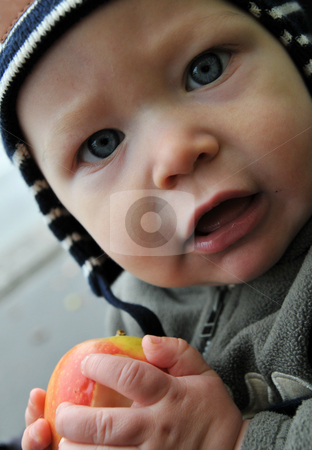 To use this stock image in your creative project, please select the size you need over to the right and click the "Add to Cart" button.
Your downloaded image will come with the Cutcaster watermark removed so don’t worry about the watermark you see on this page. Baby boy with an apple stock photo, Baby boy outside wearing a cap and with a fresh apple in his hand by Johan Lenell
