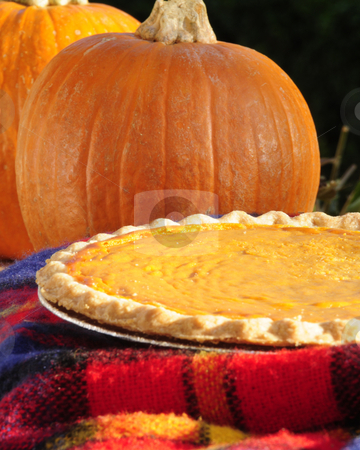 To use this stock image in your creative project, please select the size you need over to the right and click the "Add to Cart" button.
Your downloaded image will come with the Cutcaster watermark removed so don’t worry about the watermark you see on this page. Pumpkin and Pie stock photo, Pumpin pie in the aftrnoon by Timothy OLeary