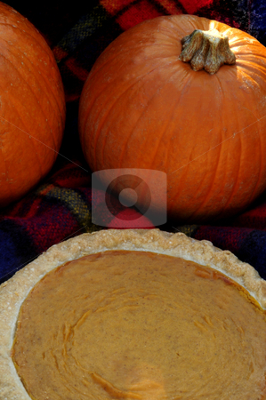 To use this stock image in your creative project, please select the size you need over to the right and click the "Add to Cart" button.
Your downloaded image will come with the Cutcaster watermark removed so don’t worry about the watermark you see on this page. Pumpkin and Pie stock photo, Pumpin pie in the aftrnoon by Timothy OLeary