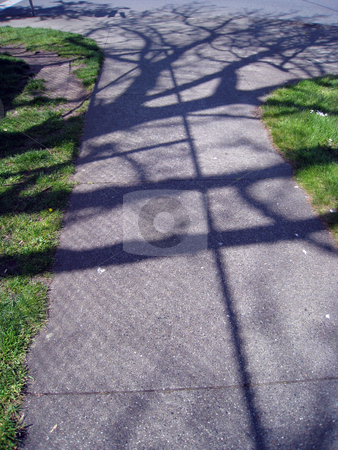 To use this stock image in your creative project, please select the size you need over to the right and click the "Add to Cart" button.
Your downloaded image will come with the Cutcaster watermark removed so don’t worry about the watermark you see on this page. Shadow of Tree stock photo, Shadow of tree and fence on sidewalk by Julie Bentz