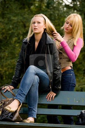 To use this stock image in your creative project, please select the size you need over to the right and click the "Add to Cart" button.
Your downloaded image will come with the Cutcaster watermark removed so don’t worry about the watermark you see on this page. Sisters hairdo stock photo, Two sisters in a park having fun by Frenk and Danielle Kaufmann