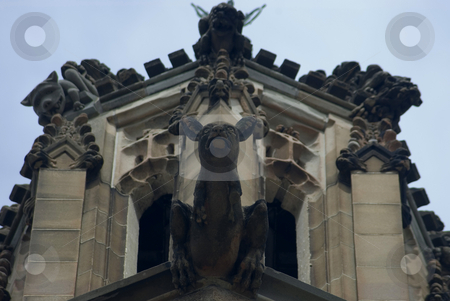 To use this stock image in your creative project, please select the size you need over to the right and click the "Add to Cart" button.
Your downloaded image will come with the Cutcaster watermark removed so don’t worry about the watermark you see on this page. Kangaroo gargoyle stock photo, Gargoyles stones on the side of the historic sydney university by Stephen Gibson