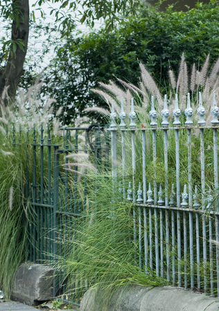 To use this stock image in your creative project, please select the size you need over to the right and click the "Add to Cart" button.
Your downloaded image will come with the Cutcaster watermark removed so don’t worry about the watermark you see on this page. Overgrown garden stock photo, And overgrown garden and wrought iron railings by Stephen Gibson