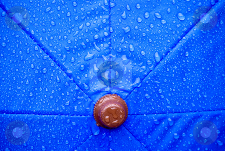 To use this stock image in your creative project, please select the size you need over to the right and click the "Add to Cart" button.
Your downloaded image will come with the Cutcaster watermark removed so don’t worry about the watermark you see on this page. Wet umbrella stock photo, A closeup of a wet blue unmbrella by Vince Clements