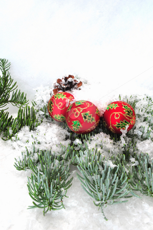 To use this stock image in your creative project, please select the size you need over to the right and click the "Add to Cart" button.
Your downloaded image will come with the Cutcaster watermark removed so don’t worry about the watermark you see on this page. Christmas Ornaments And Tree Branch stock photo, Christmas tree decorations on a pine tree branch by Lynn Bendickson