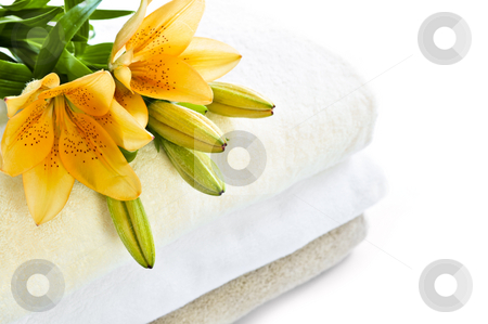 To use this stock image in your creative project, please select the size you need over to the right and click the "Add to Cart" button.
Your downloaded image will come with the Cutcaster watermark removed so don’t worry about the watermark you see on this page. Stack of towels stock photo, Stack of soft towels isolated on white background by Elena Elisseeva