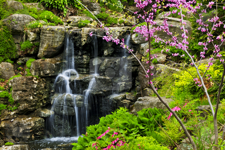 To use this stock image in your creative project, please select the size you need over to the right and click the "Add to Cart" button.
Your downloaded image will come with the Cutcaster watermark removed so don’t worry about the watermark you see on this page. Cascading waterfall stock photo, Cascading waterfall in japanese garden in springtime by Elena Elisseeva