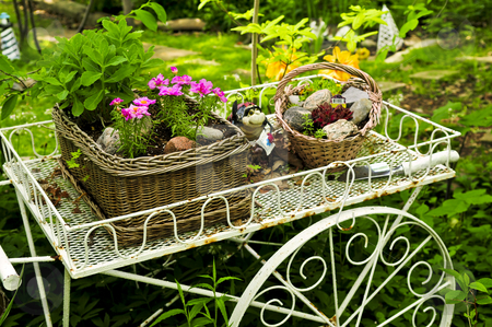 To use this stock image in your creative project, please select the size you need over to the right and click the "Add to Cart" button.
Your downloaded image will come with the Cutcaster watermark removed so don’t worry about the watermark you see on this page. Flower cart in garden stock photo, Flower cart with two baskets in summer garden by Elena Elisseeva