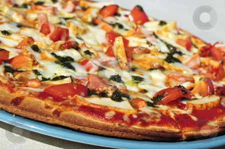 To use this stock image in your creative project, please select the size you need over to the right and click the "Add to Cart" button.
Your downloaded image will come with the Cutcaster watermark removed so don’t worry about the watermark you see on this page. Pizza stock photo, Freshly baked mediterranean pizza served on a plate by Elena Elisseeva