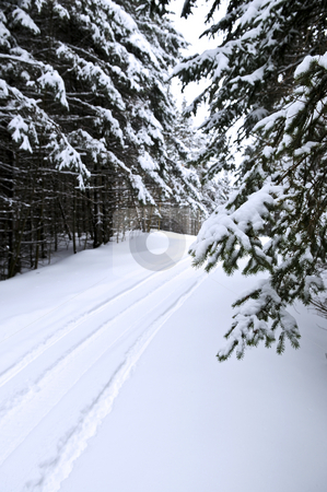 To use this stock image in your creative project, please select the size you need over to the right and click the "Add to Cart" button.
Your downloaded image will come with the Cutcaster watermark removed so don’t worry about the watermark you see on this page. Winter landscape stock photo, Winter landscape with snowy trees and snowmobile path by Elena Elisseeva