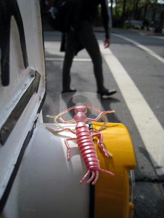 To use this stock image in your creative project, please select the size you need over to the right and click the "Add to Cart" button.
Your downloaded image will come with the Cutcaster watermark removed so don’t worry about the watermark you see on this page. Toy Bug at Crosswalk stock photo, Toy bug watches crosswalk by Julie Bentz