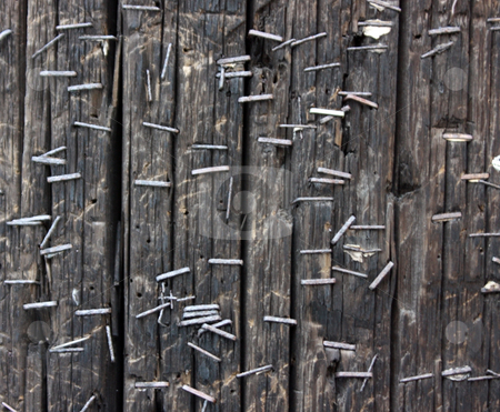 To use this stock image in your creative project, please select the size you need over to the right and click the "Add to Cart" button.
Your downloaded image will come with the Cutcaster watermark removed so don’t worry about the watermark you see on this page. Wood with Staples stock photo, Texture of telephone pole with staples by Julie Bentz