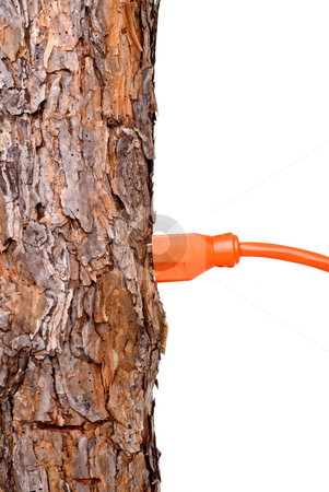 To use this stock image in your creative project, please select the size you need over to the right and click the "Add to Cart" button.
Your downloaded image will come with the Cutcaster watermark removed so don’t worry about the watermark you see on this page. Extension cord in a tree trunk stock photo, Extension cord in a tree trunk, can represent renewable resources or consumption of resources/forests by Vince Clements
