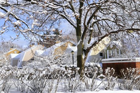 To use this stock image in your creative project, please select the size you need over to the right and click the "Add to Cart" button.
Your downloaded image will come with the Cutcaster watermark removed so don’t worry about the watermark you see on this page. Winter street stock photo, Winter street with lots of snow and colorful houses in Toronto by Elena Elisseeva