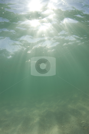 To use this stock image in your creative project, please select the size you need over to the right and click the "Add to Cart" button.
Your downloaded image will come with the Cutcaster watermark removed so don’t worry about the watermark you see on this page. Underwater Beach Sunrays Half Sky stock photo, Underwater view of sunbeams stream through the surface of the ocean and dancing on the floor of the sea on a bright sunny day. by A Cotton Photo