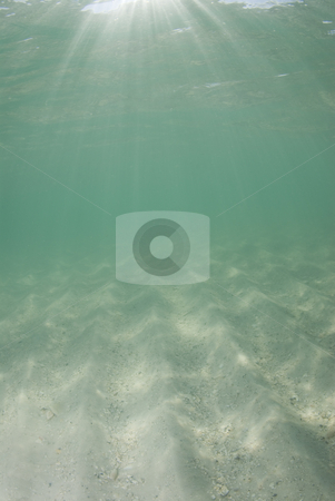 To use this stock image in your creative project, please select the size you need over to the right and click the "Add to Cart" button.
Your downloaded image will come with the Cutcaster watermark removed so don’t worry about the watermark you see on this page. Underwater Beach Sunrays half sand stock photo, Underwater view of sunbeams stream through the surface of the ocean and dancing on the floor of the sea on a bright sunny day. Bright sand with dramatic sunrays by A Cotton Photo